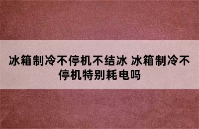 冰箱制冷不停机不结冰 冰箱制冷不停机特别耗电吗